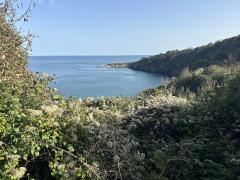Looking back at Hope's Nose, from the climb towards Black Head